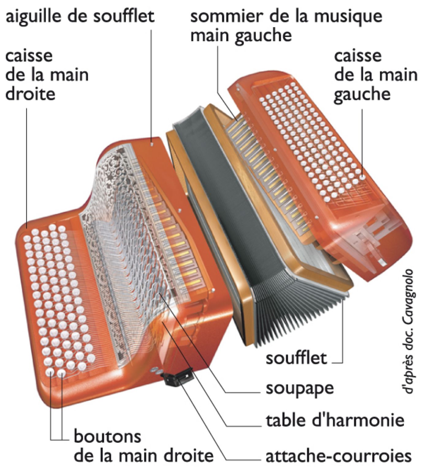 un accordéon