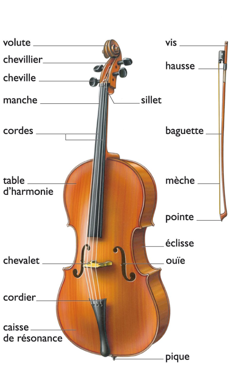 un violoncelle et un archet