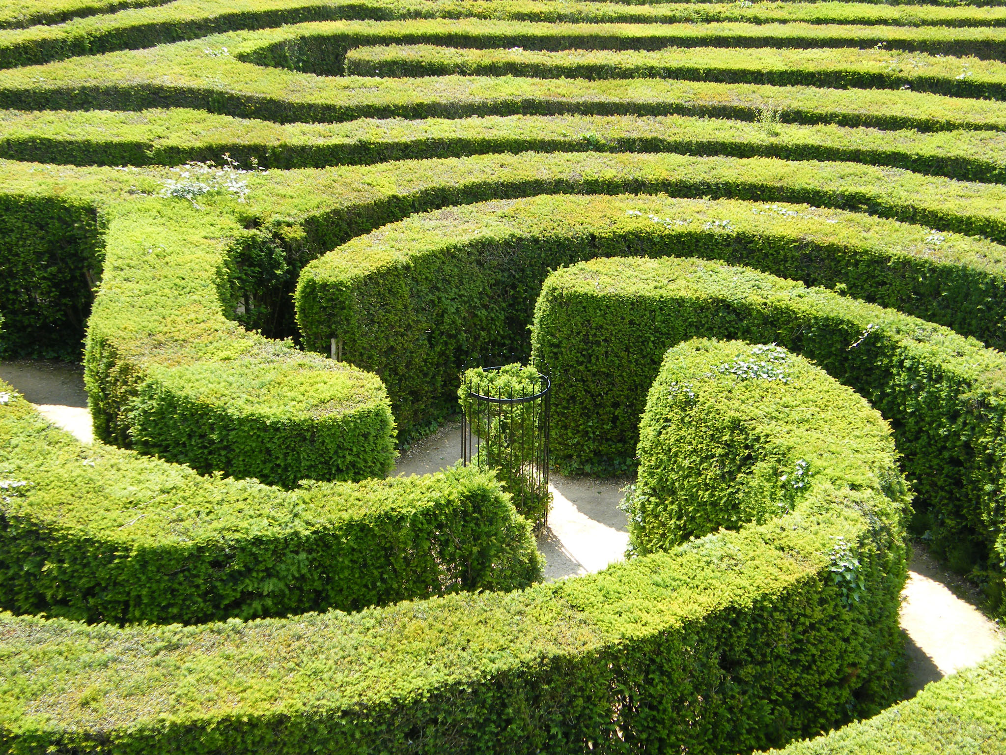 un labyrinthe végétal