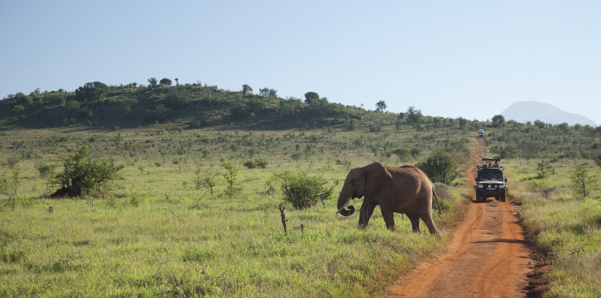 un safari-photo  (Kenya)