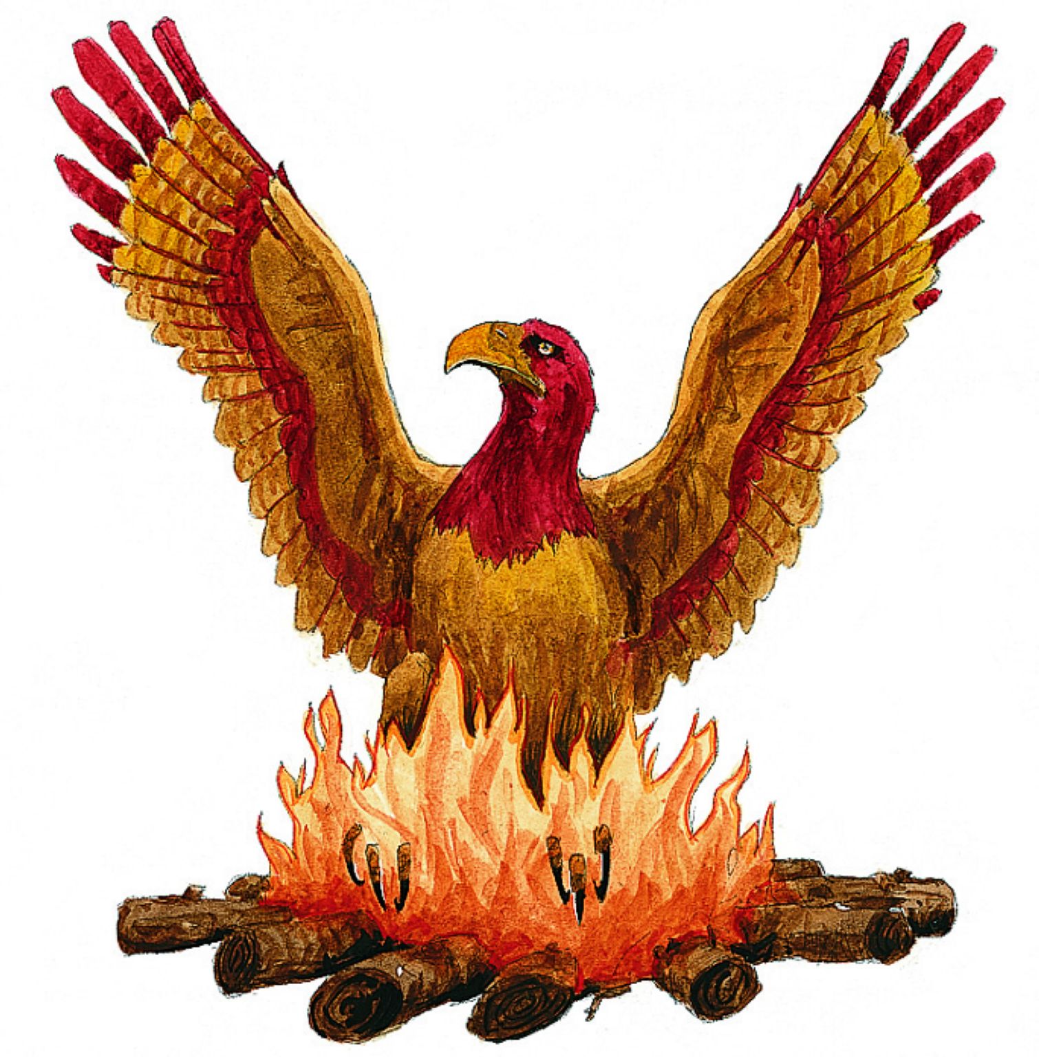 un phénix