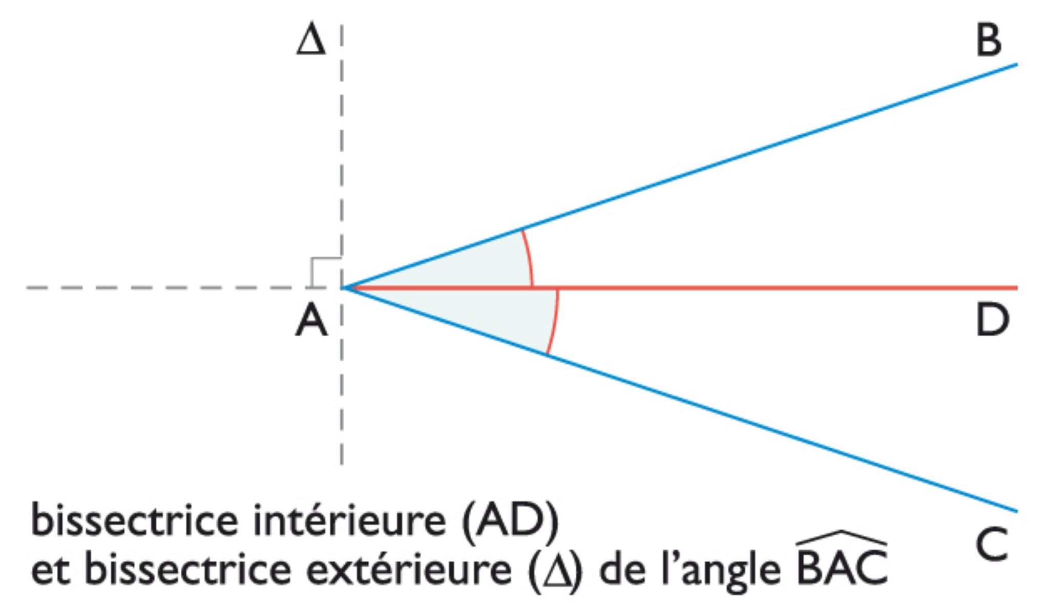 bissectrice