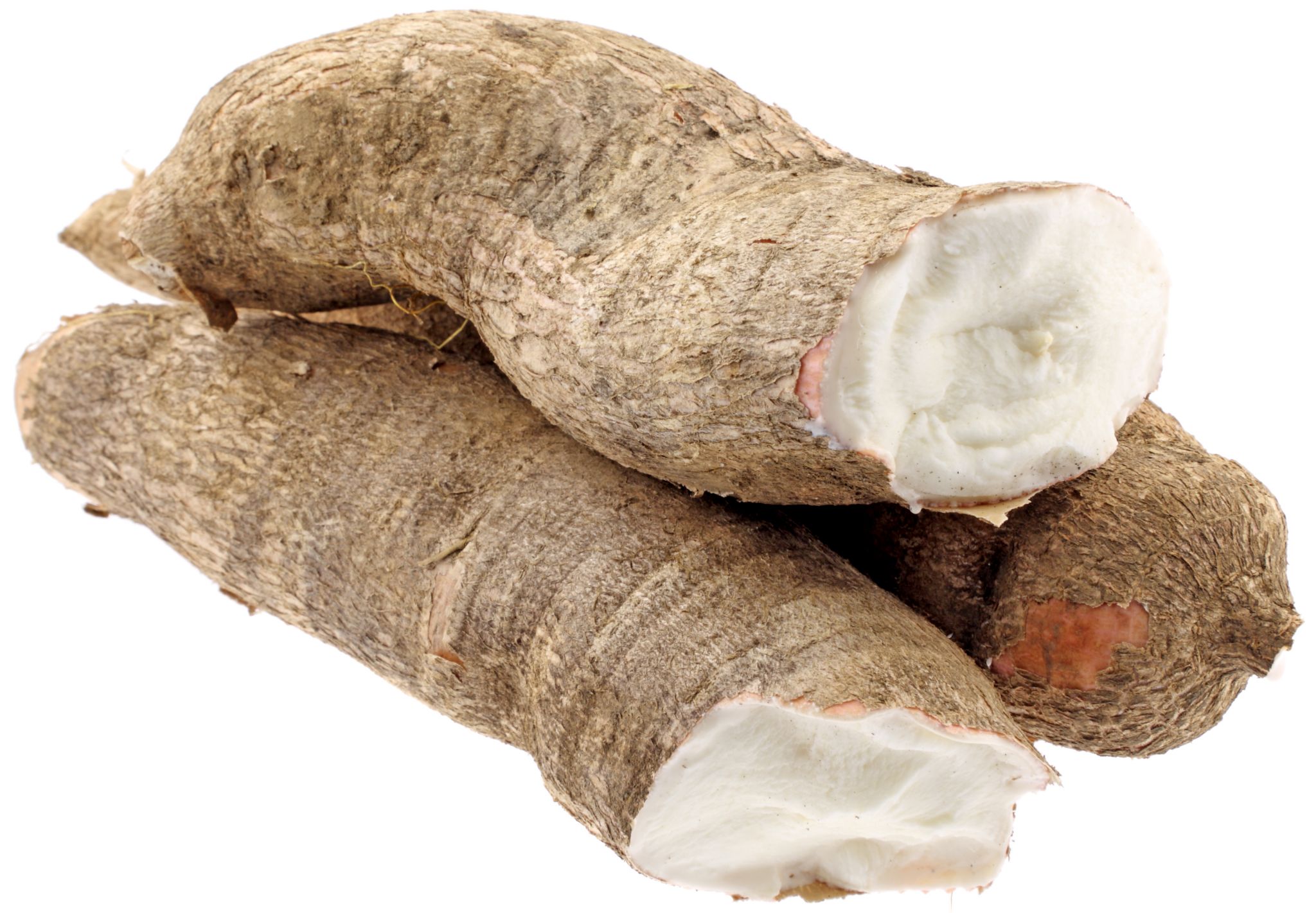 du manioc