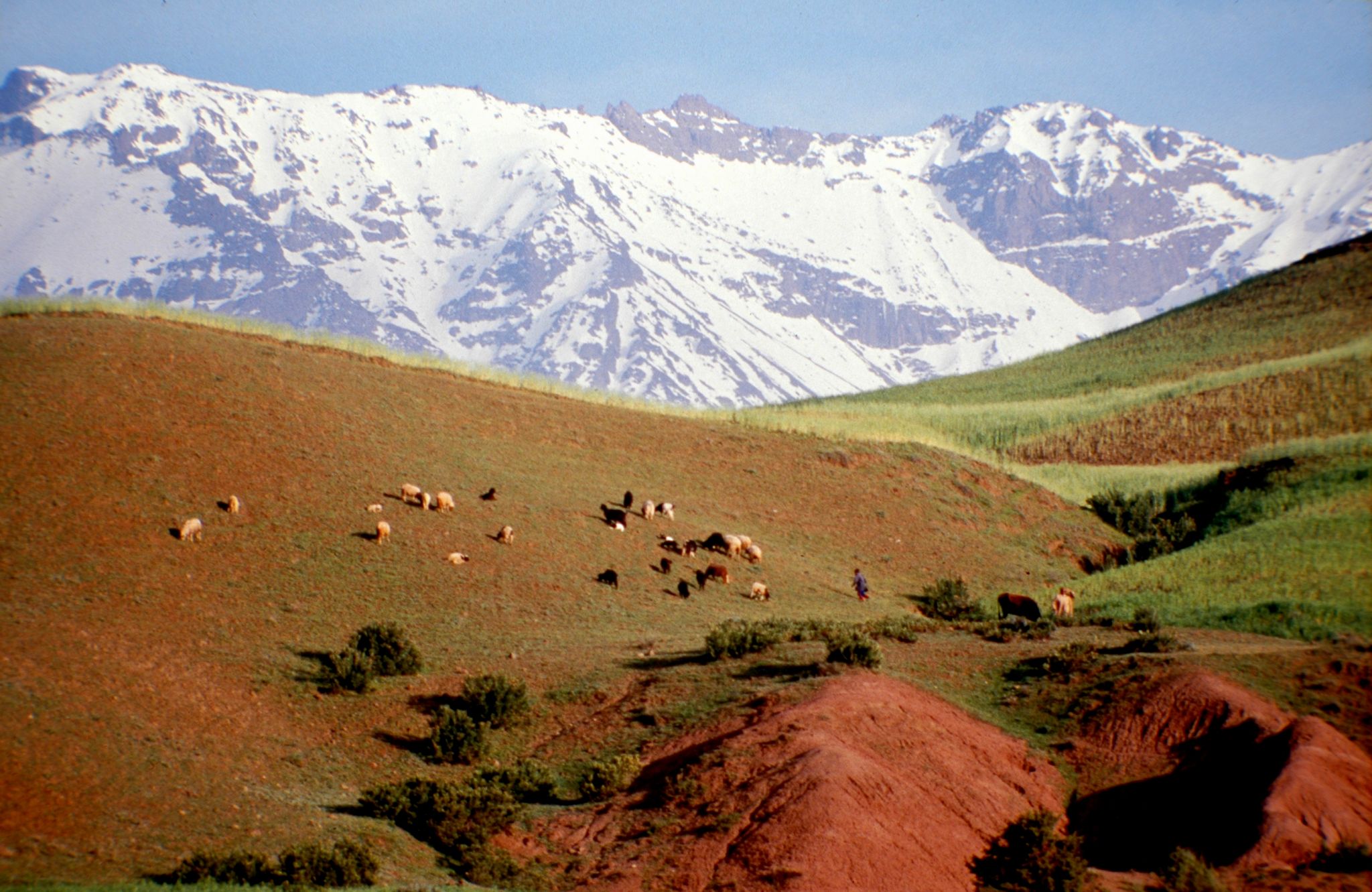 un massif montagneux (Haut Atlas, Maroc)